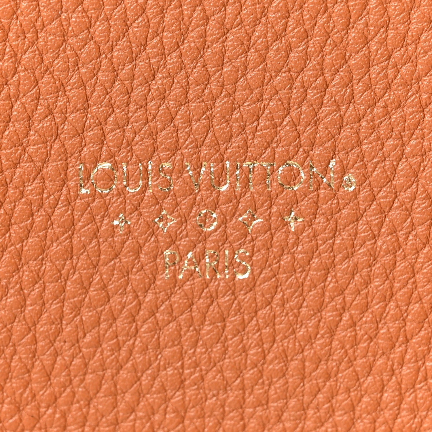 Grained Calfskin LV Pont 9 Soft MM Golden Siena