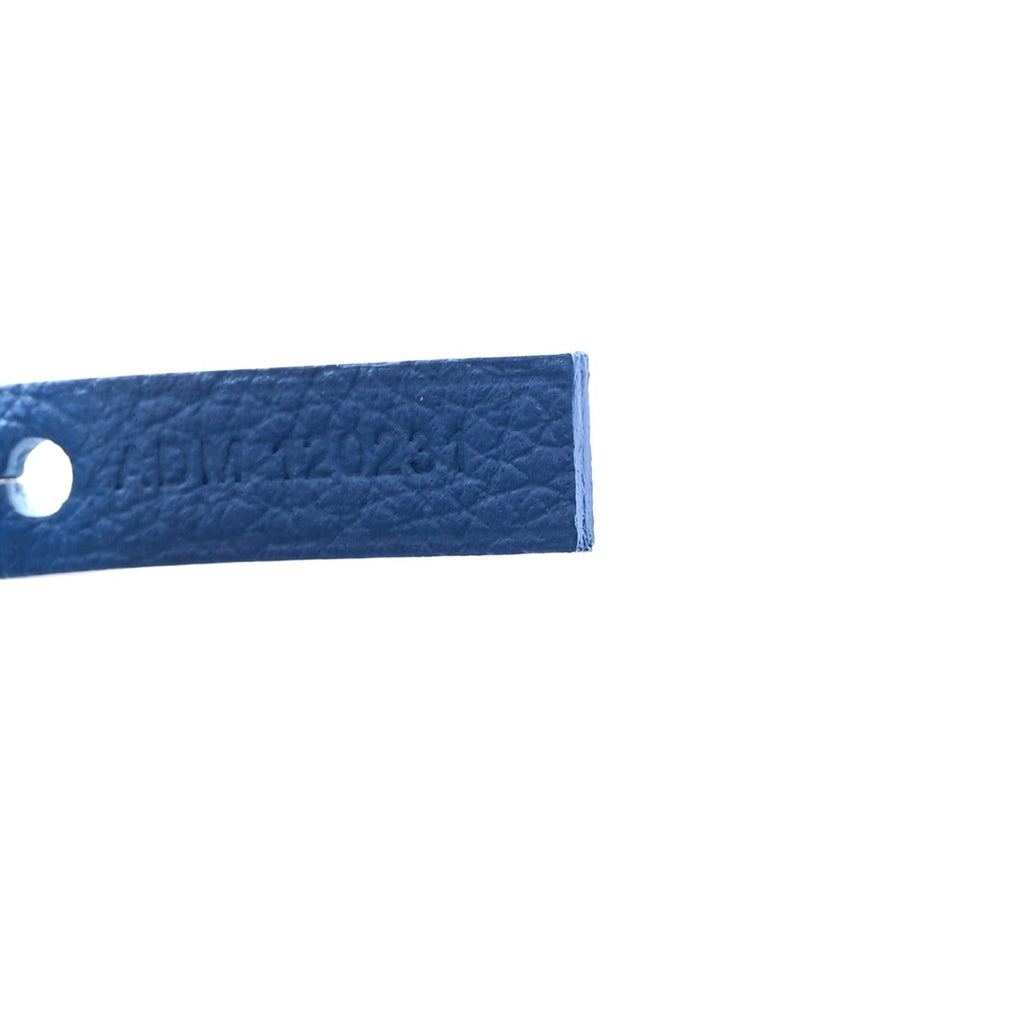 Goyardine Saint Louis PM Sky Blue