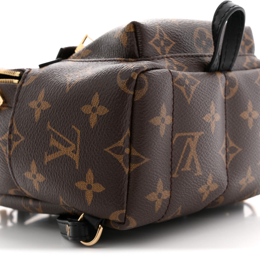 Monogram Palm Springs Backpack Mini