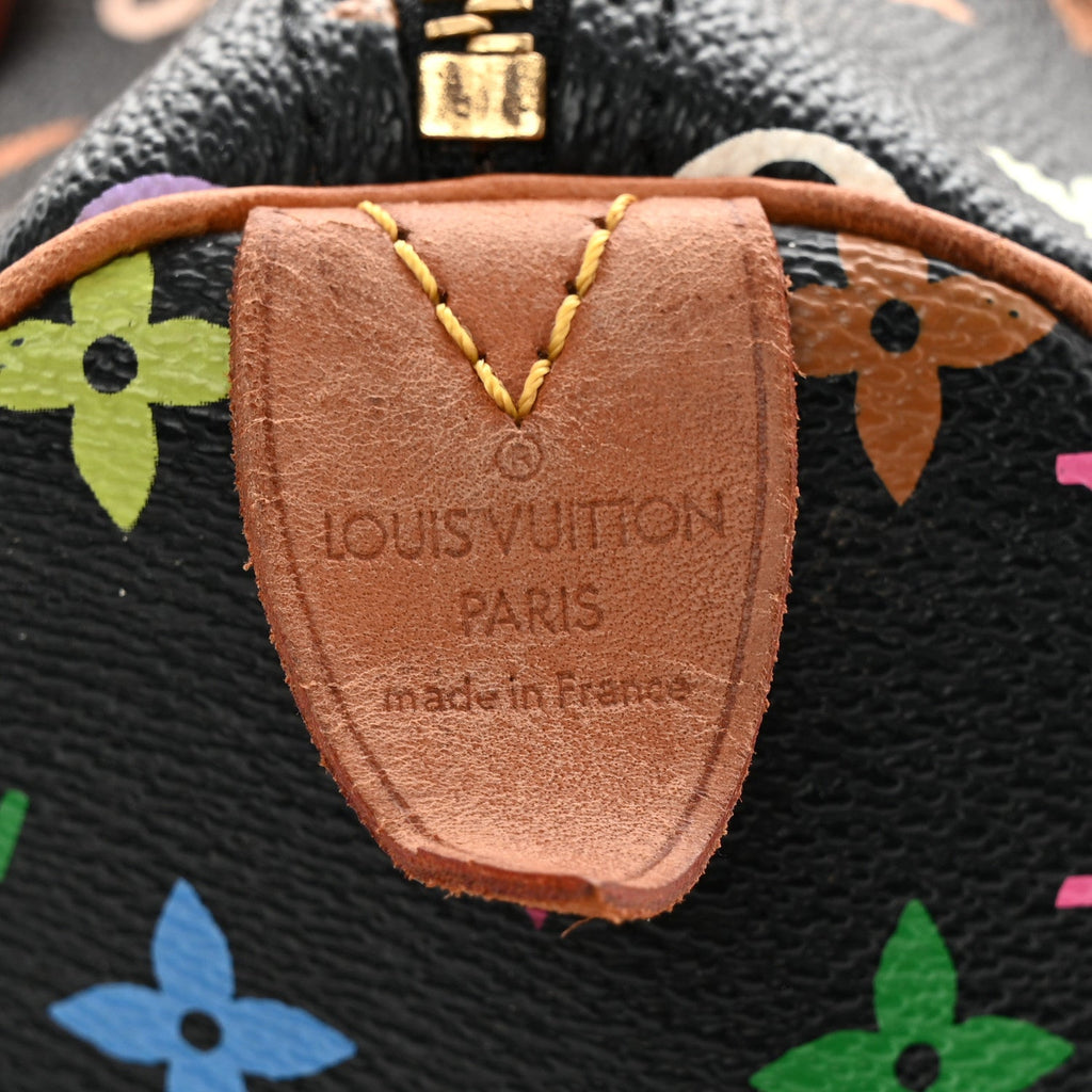 Monogram Multicolor Speedy 30 Black