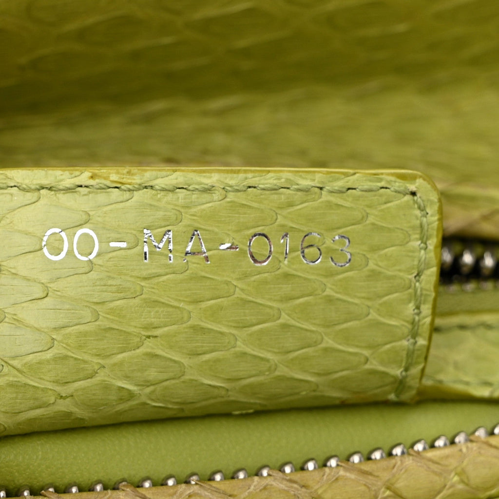 Snakeskin Medium Lady Dior Green