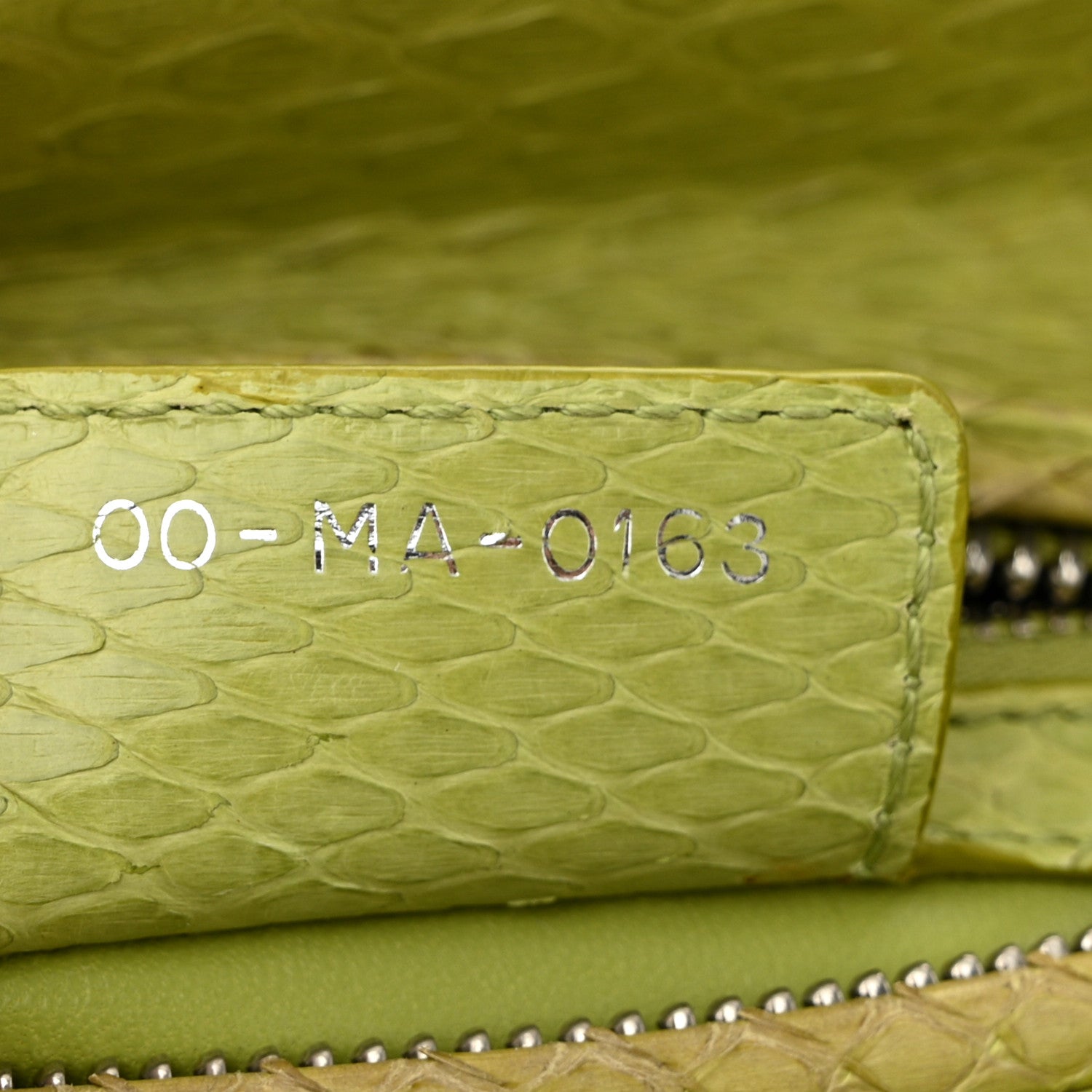 Snakeskin Medium Lady Dior Green