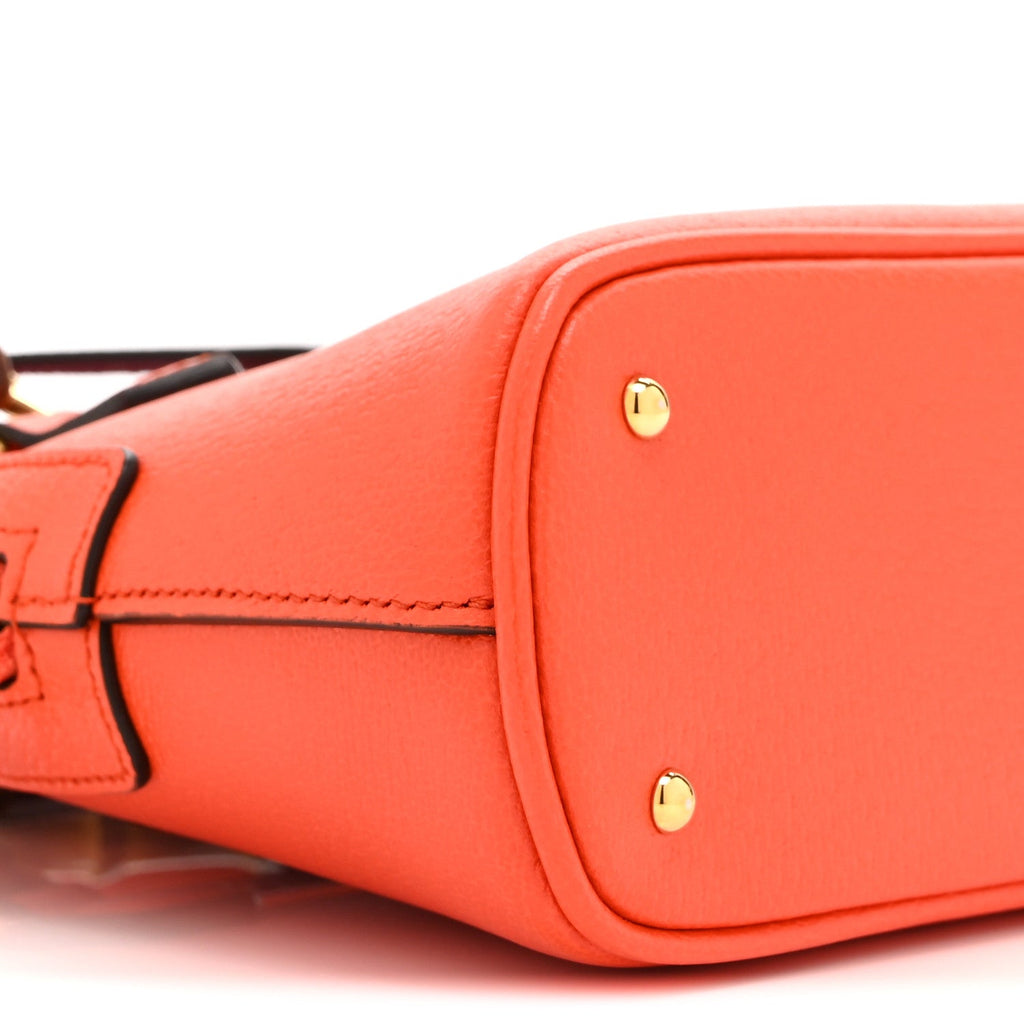 Textured Dollar Calfskin Mini Diana Dome Tote Bag Deep Orange Spicy Cyclamin