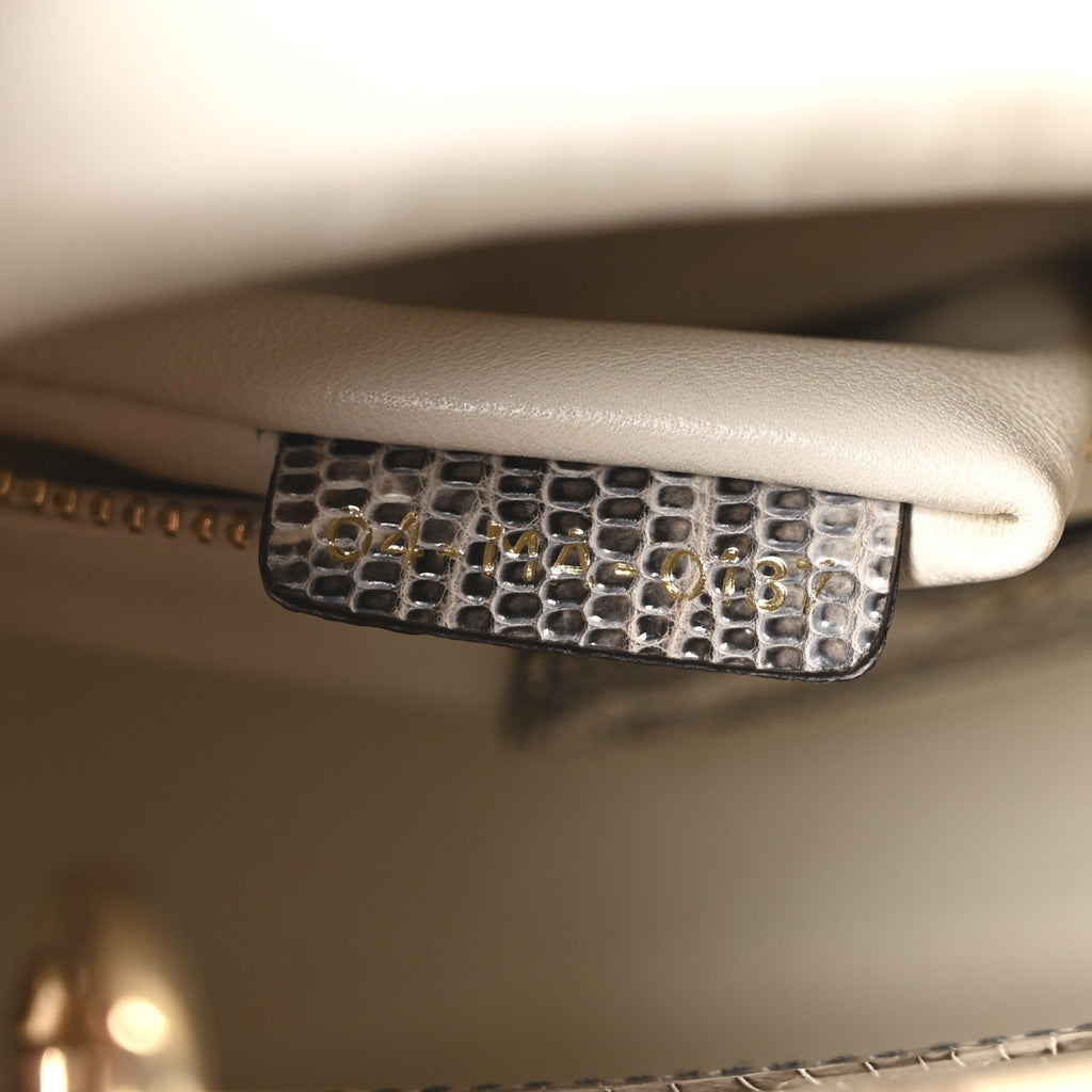 Lizard Ombre Mini Lady Dior