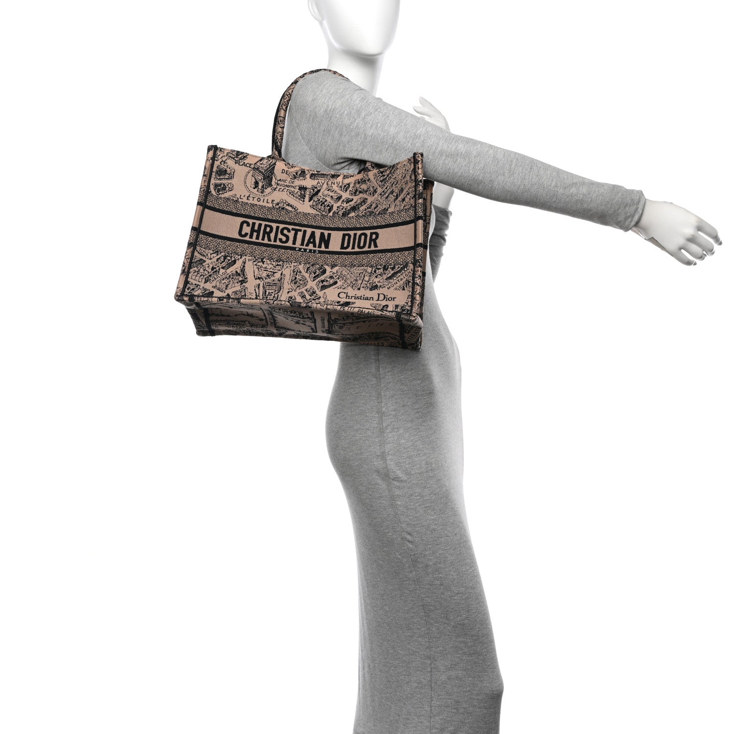 Canvas Embroidered Medium Plan De Paris Book Tote Beige Multi