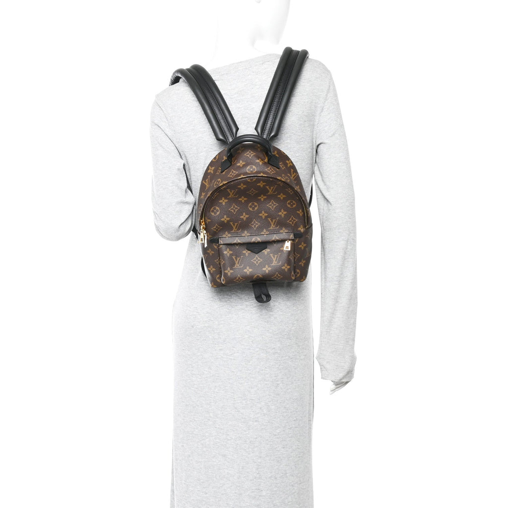 Monogram Palm Springs Backpack PM