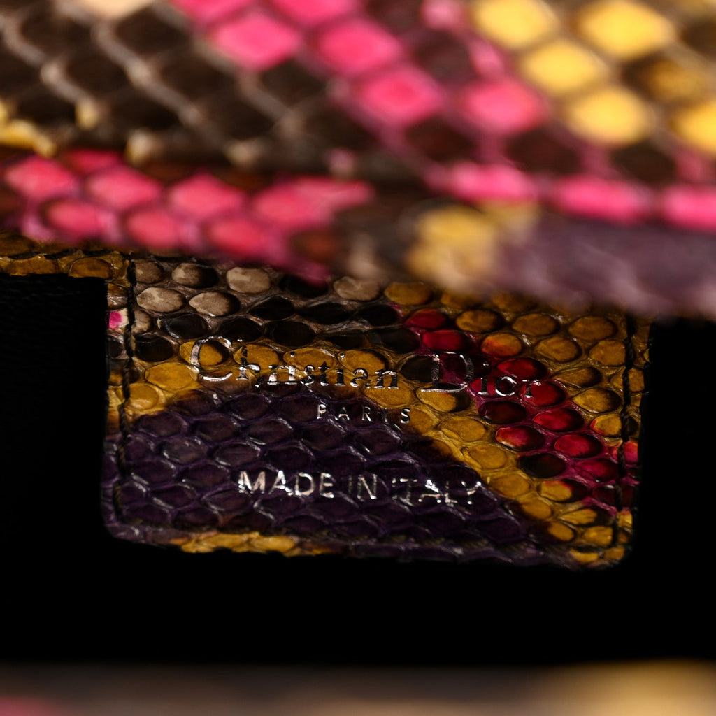Snakeskin Medium Lady Dior Multicolor