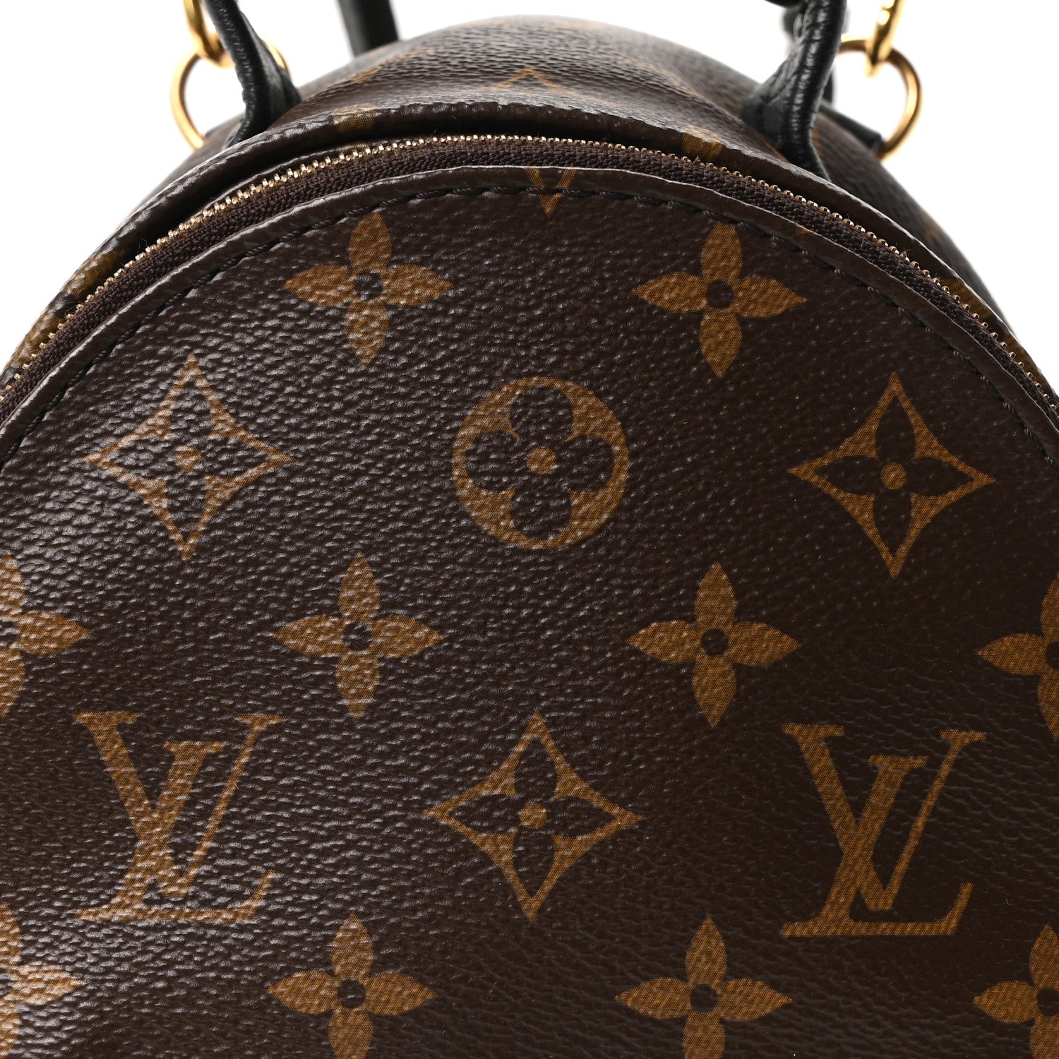 Monogram Palm Springs Backpack Mini