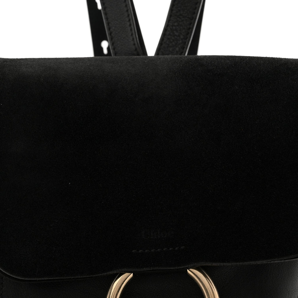 Suede Calfskin Medium Faye Backpack Black