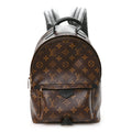 Monogram Palm Springs Backpack PM