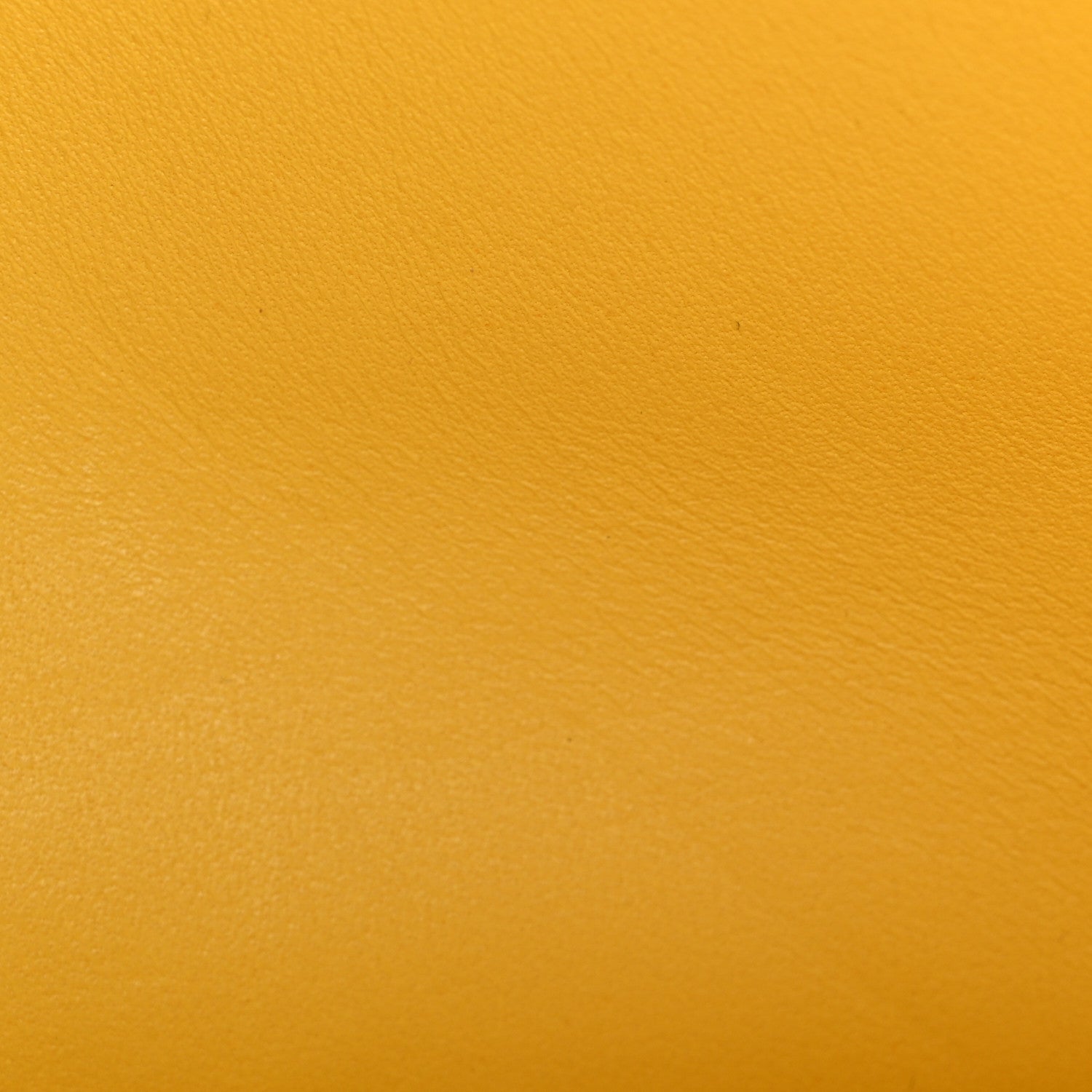 Chevre Mysore Constance 18 Jaune De Naples