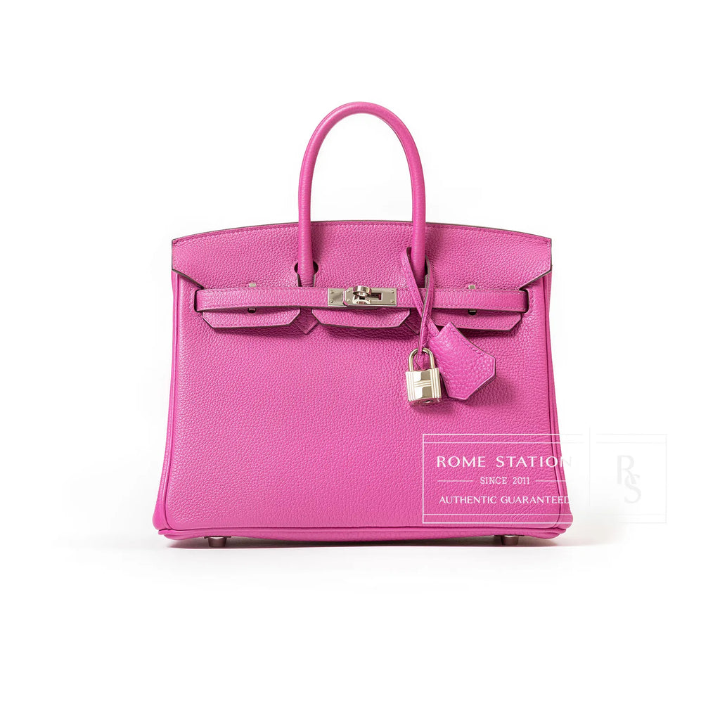 Hermès Birkin 25 Magnolia Togo Palladium Hardware