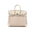 Hermès Birkin 25 Toile Ecru and Nata Swift Palladium Hardware