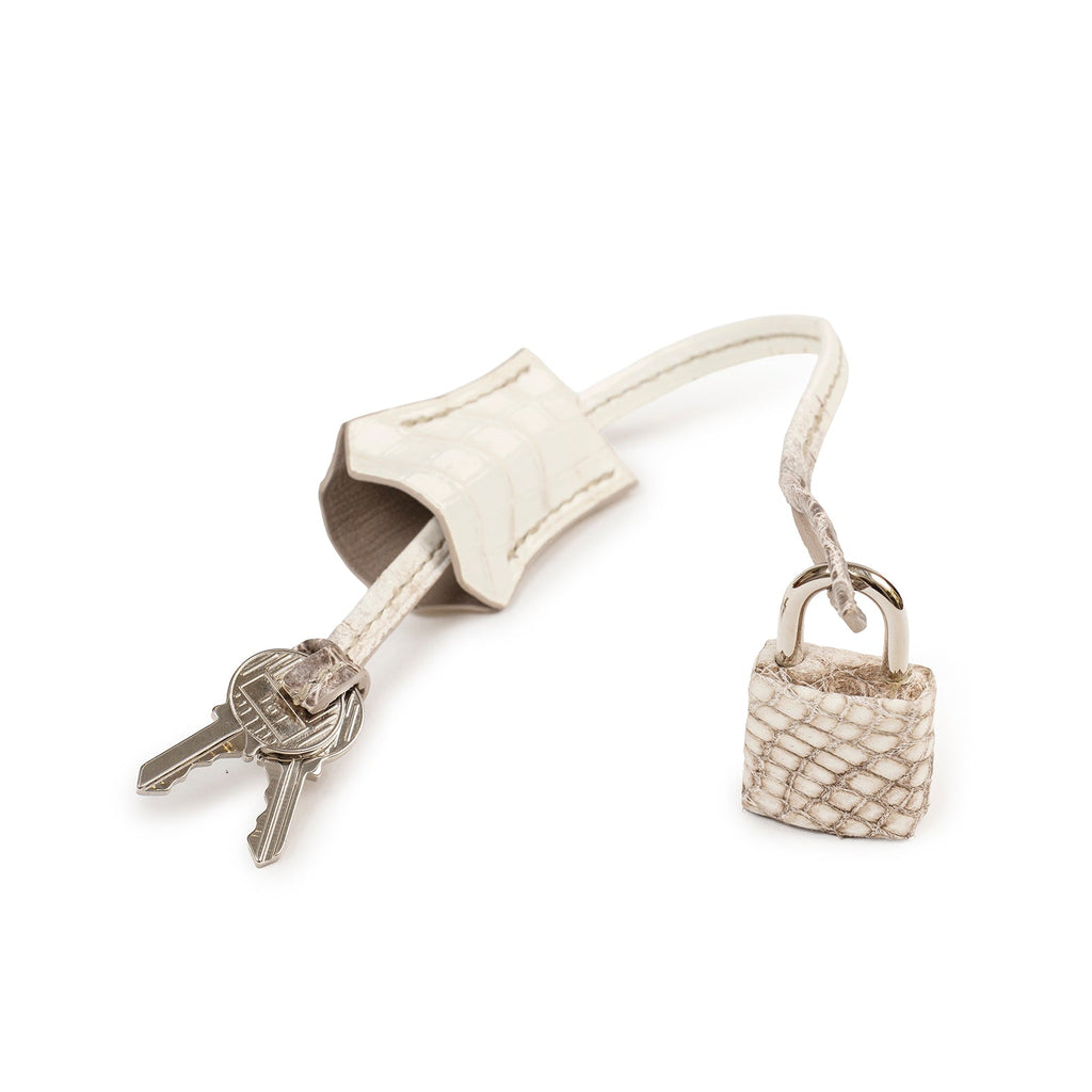 Hermès Himalaya Birkin 30 Matte Niloticus Crocodile Palladium Hardware