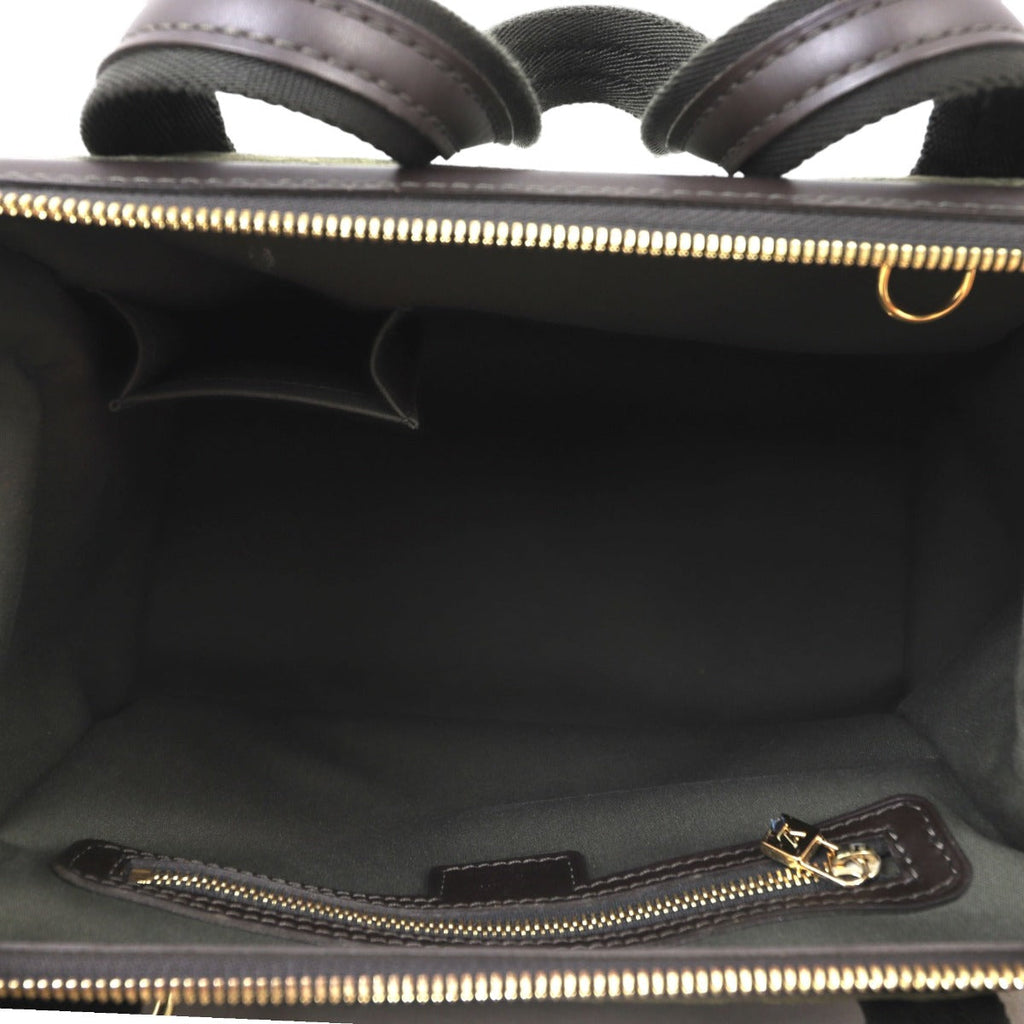 Louis Vuitton Josephine PM Mini Lin