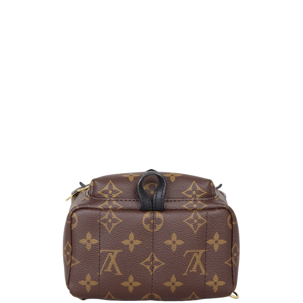 Louis Vuitton Palm Springs Mini Backpack Monogram