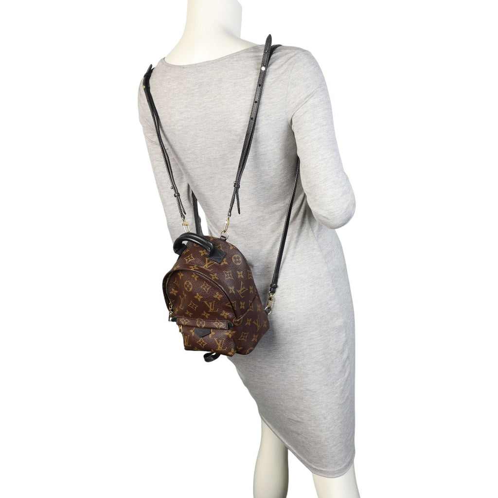Louis Vuitton Palm Springs Mini Backpack Monogram
