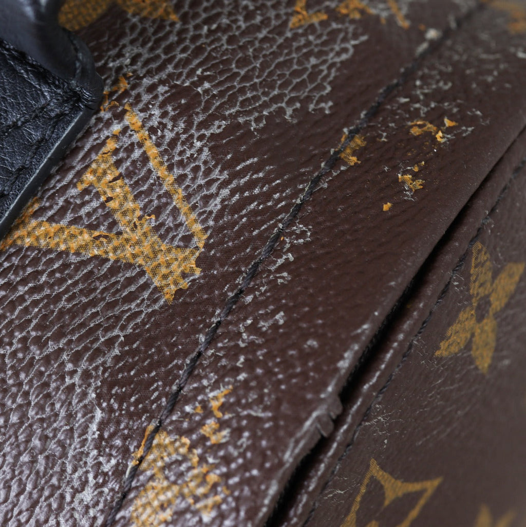 Louis Vuitton Palm Springs Mini Backpack Monogram