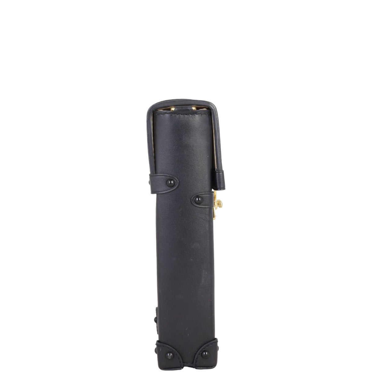 Louis Vuitton Vertical Trunk Pochette Monogram