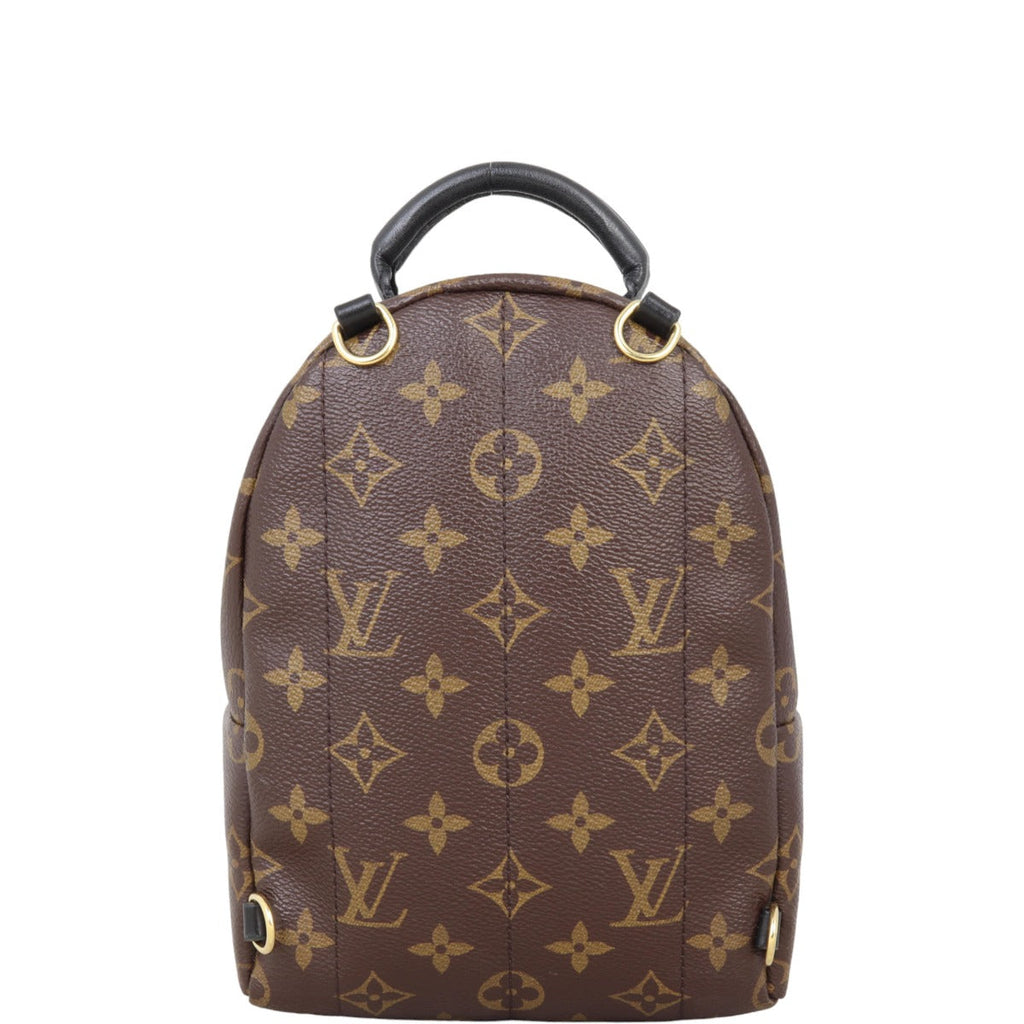 Louis Vuitton Palm Springs Mini Backpack Monogram