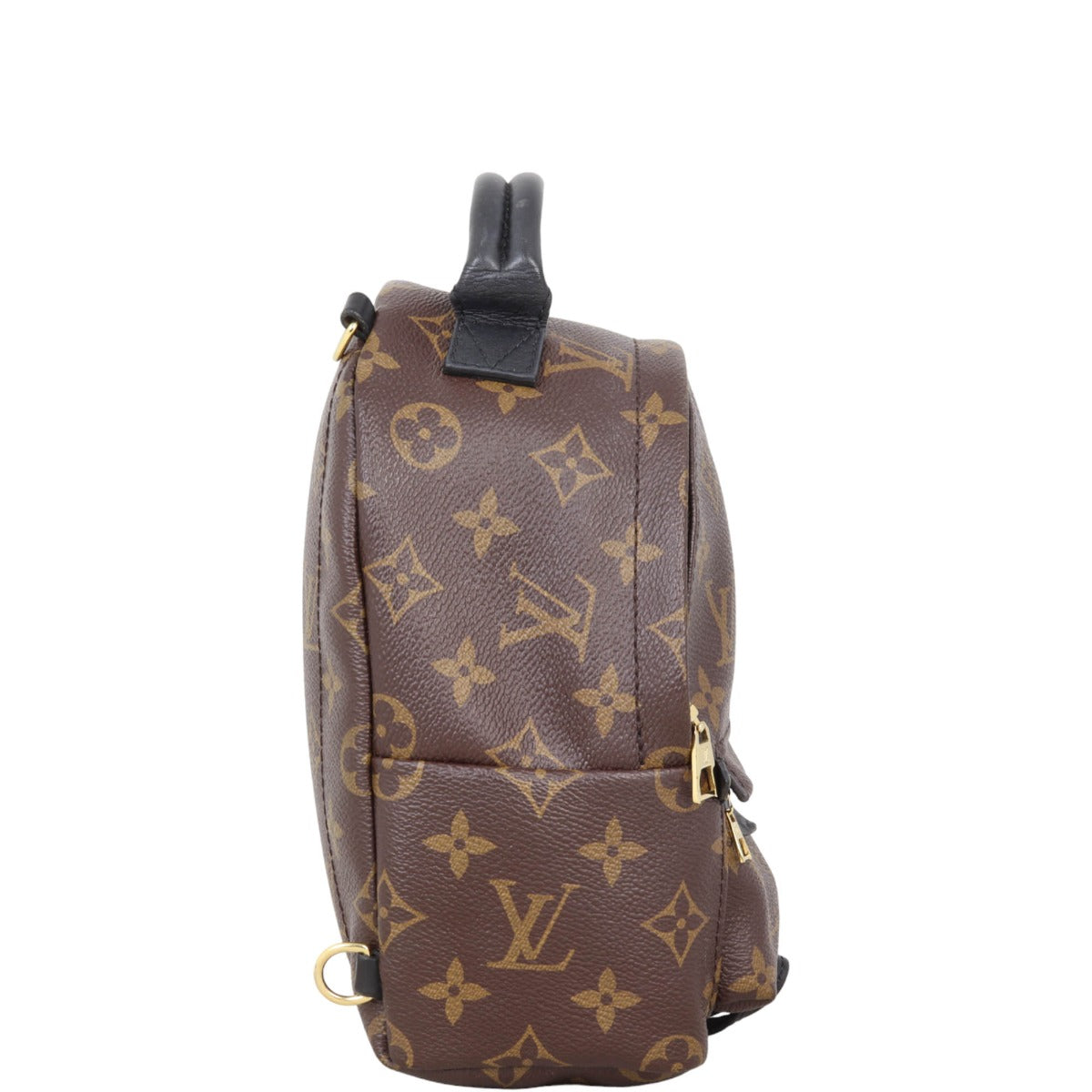Louis Vuitton Palm Springs Mini Backpack Monogram