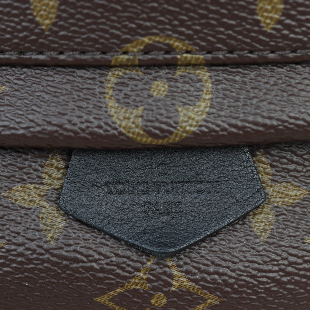 Louis Vuitton Palm Springs Mini Backpack Monogram