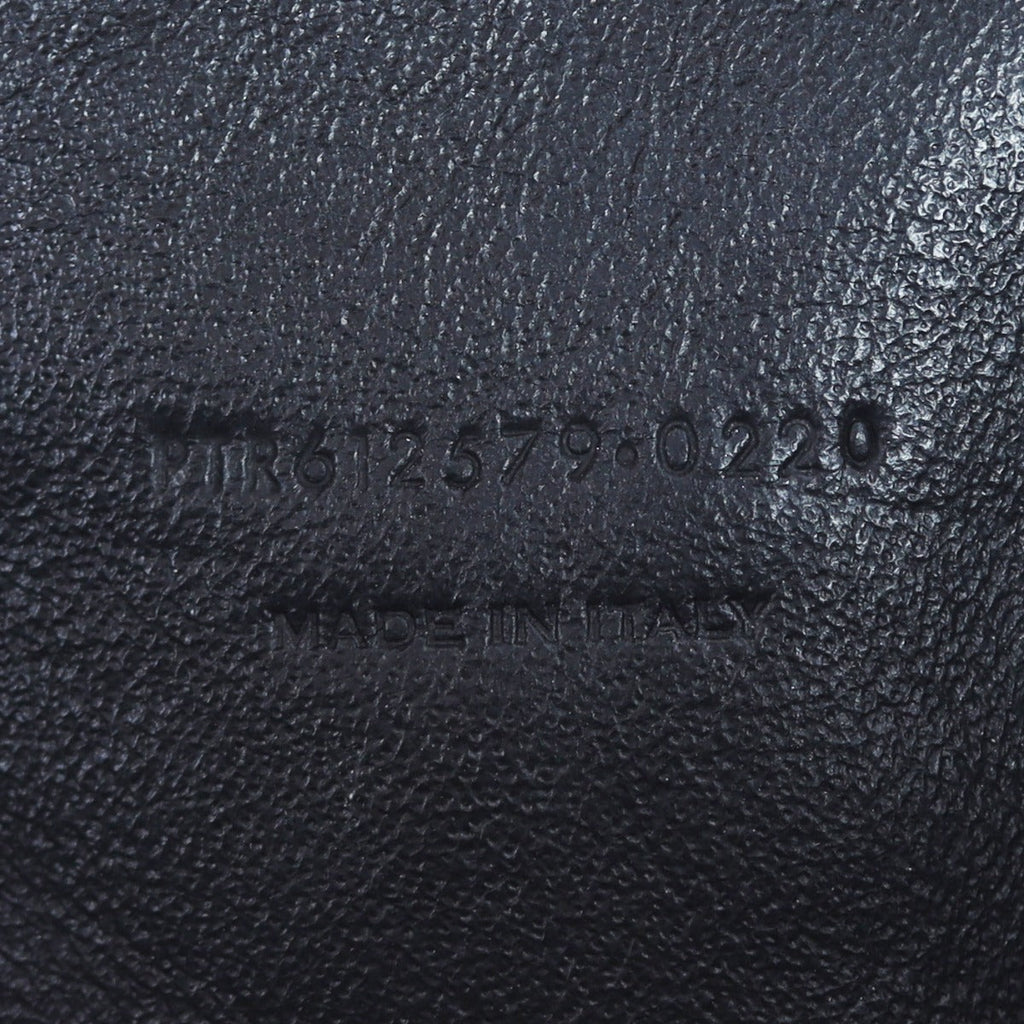 Saint Laurent Lou Mini Camera Bag