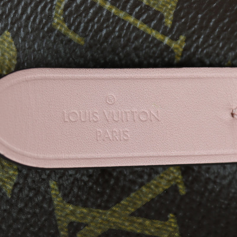 Louis Vuitton NeoNoe Monogram