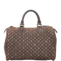 Louis Vuitton Speedy 30 Mini Lin