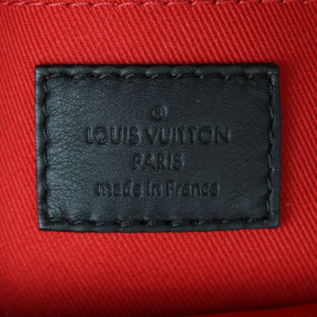 Louis Vuitton Palm Springs Mini Backpack Monogram My LV World Tour