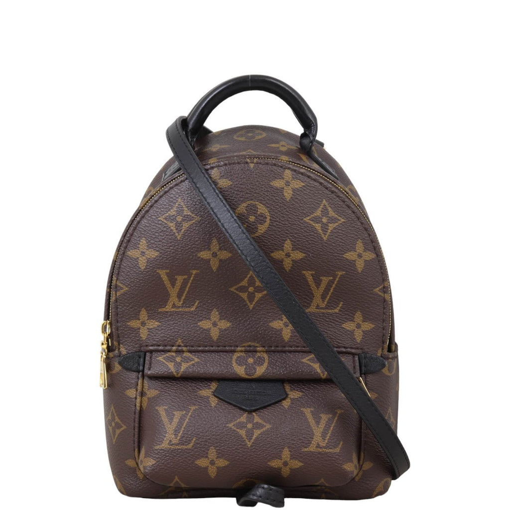 Louis Vuitton Palm Springs Mini Backpack Monogram
