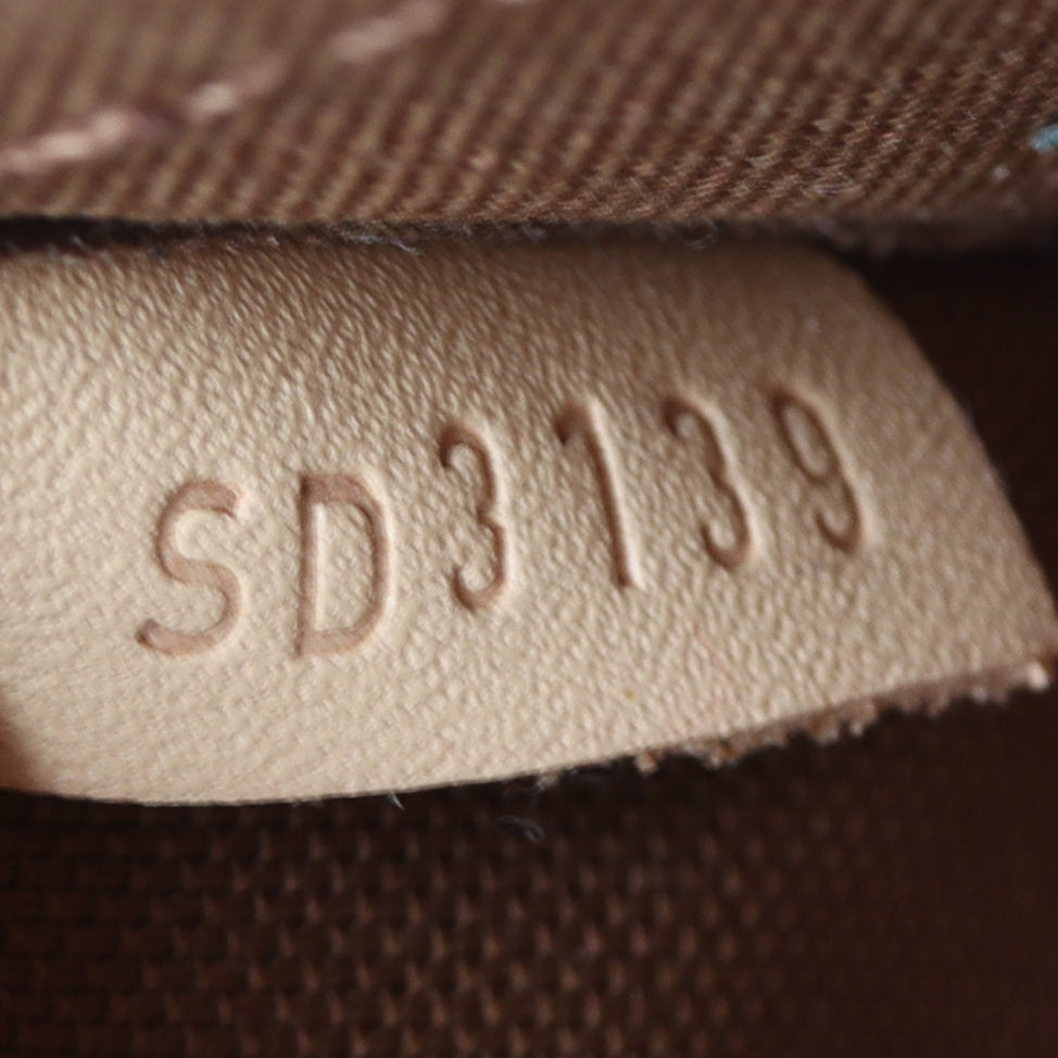 Louis Vuitton Multi Pochette Accessoires Monogram