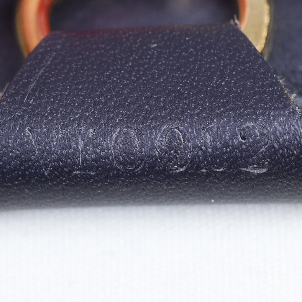 Louis Vuitton Josephine GM Mini Lin