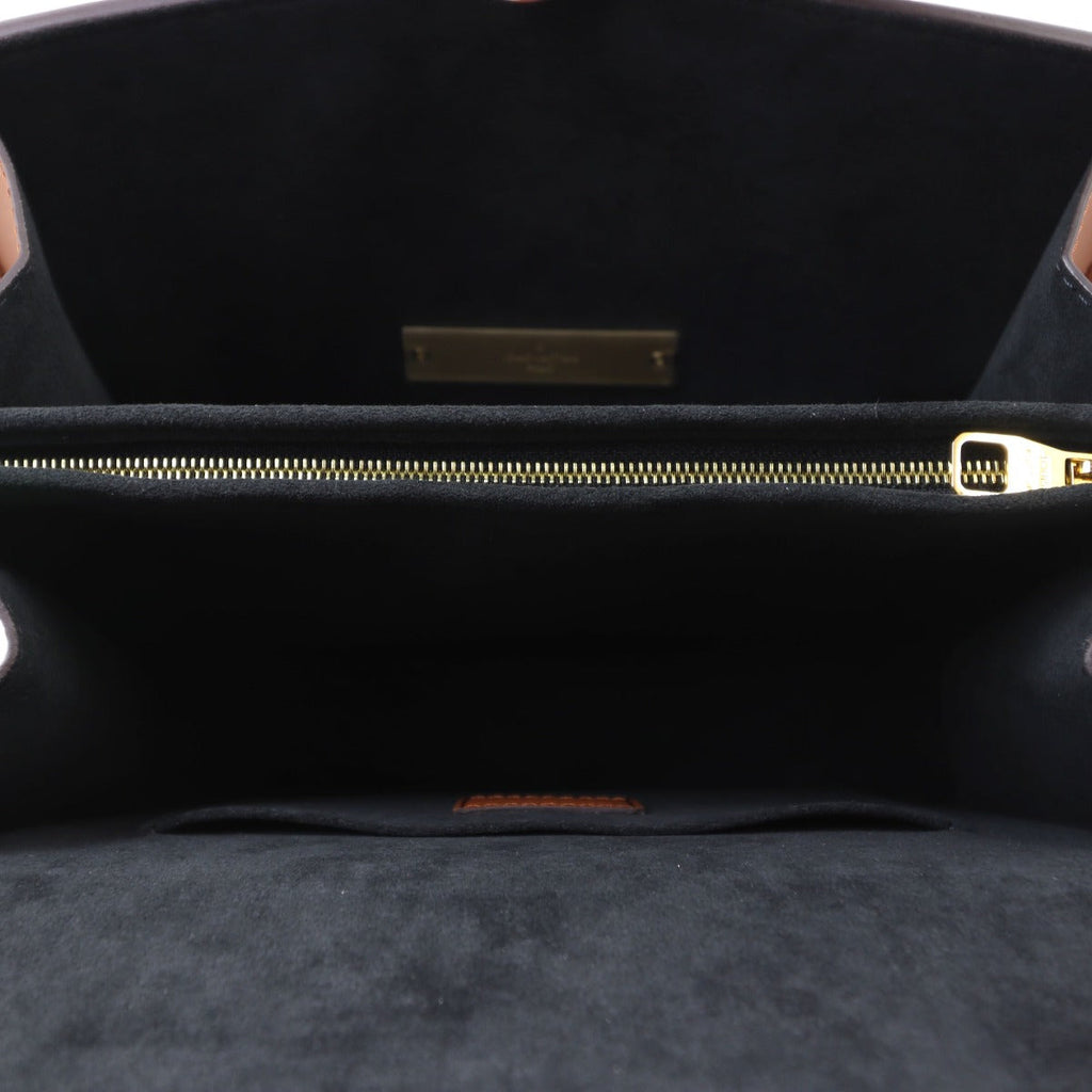 Louis Vuitton Dauphine MM Monogram Reverse