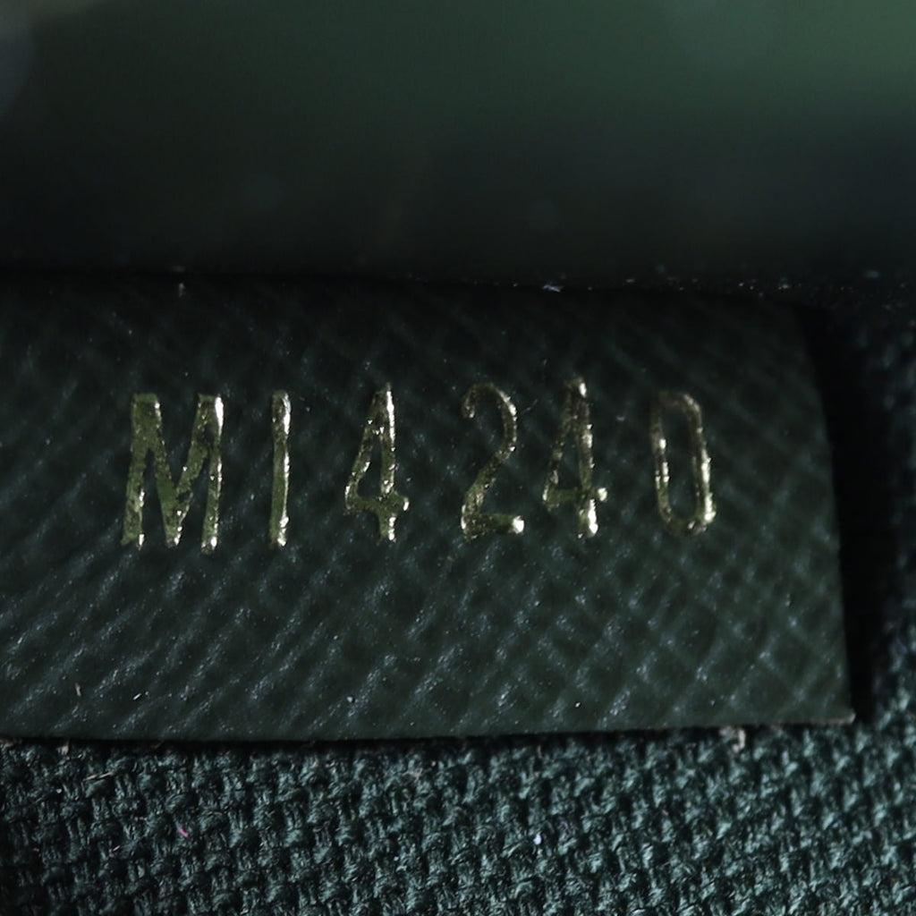 Louis Vuitton Felicie Strap & Go Monogram