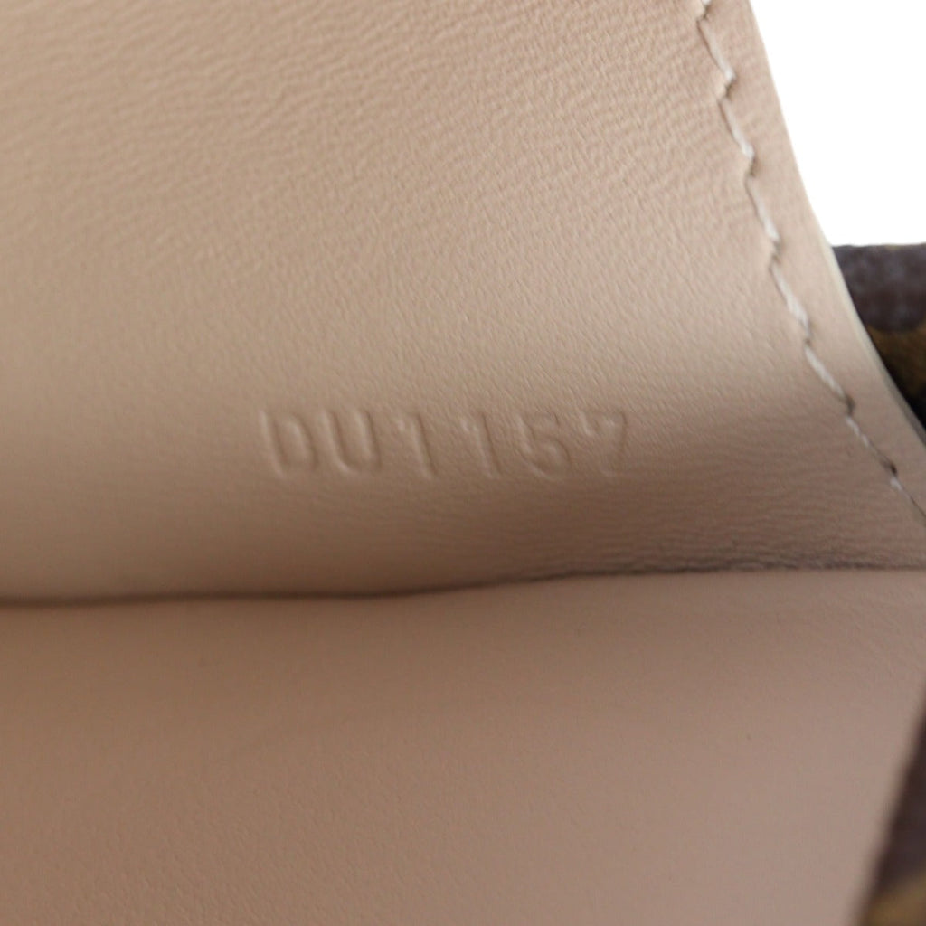 Louis Vuitton Petite Malle Monogram