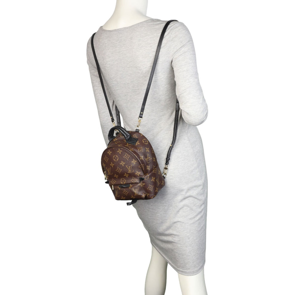 Louis Vuitton Palm Springs Mini Backpack Monogram