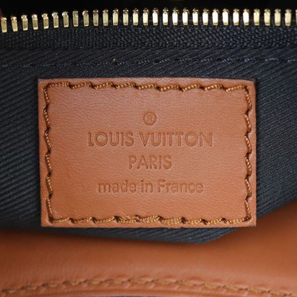 Louis Vuitton Dauphine Hobo PM Reverse Monogram