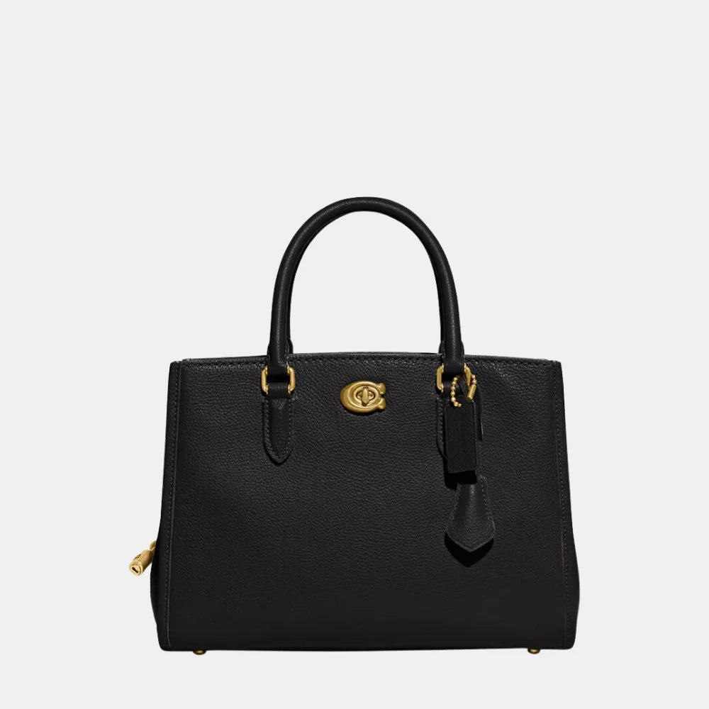 Coach Brooke Carryall Handbag