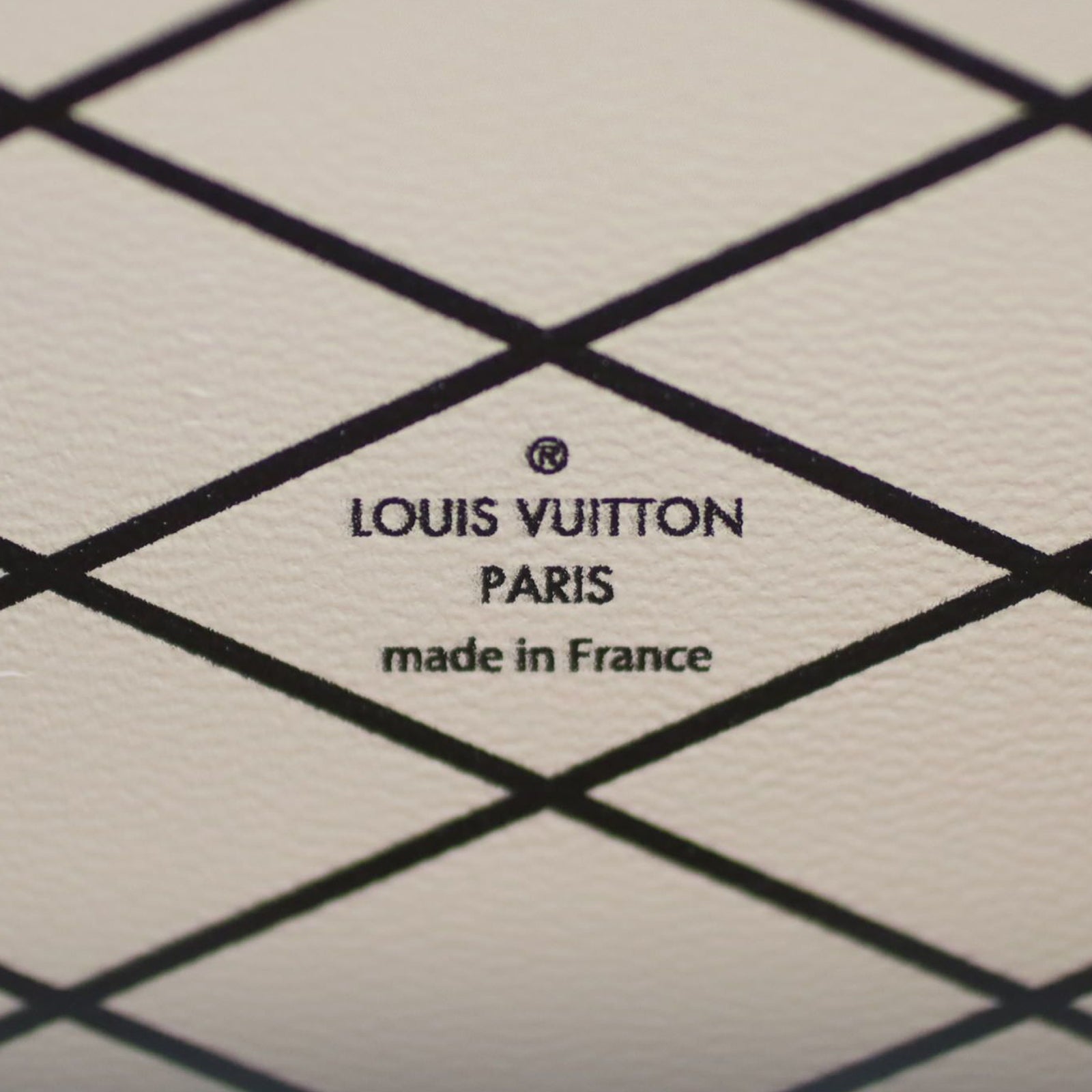 Louis Vuitton Petite Malle Epi