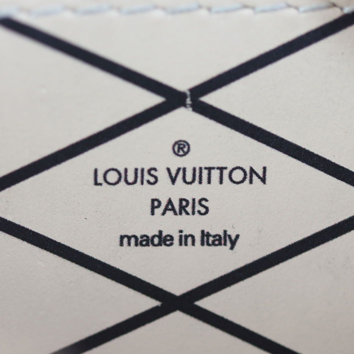 Louis Vuitton Vertical Trunk Pochette Epi